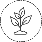 Eco-restoration & Landscaping Eco-restoration & Landscaping