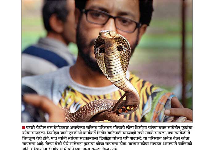 Bear Population Bear Population