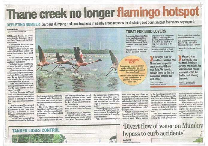 Bear Population Bear Population