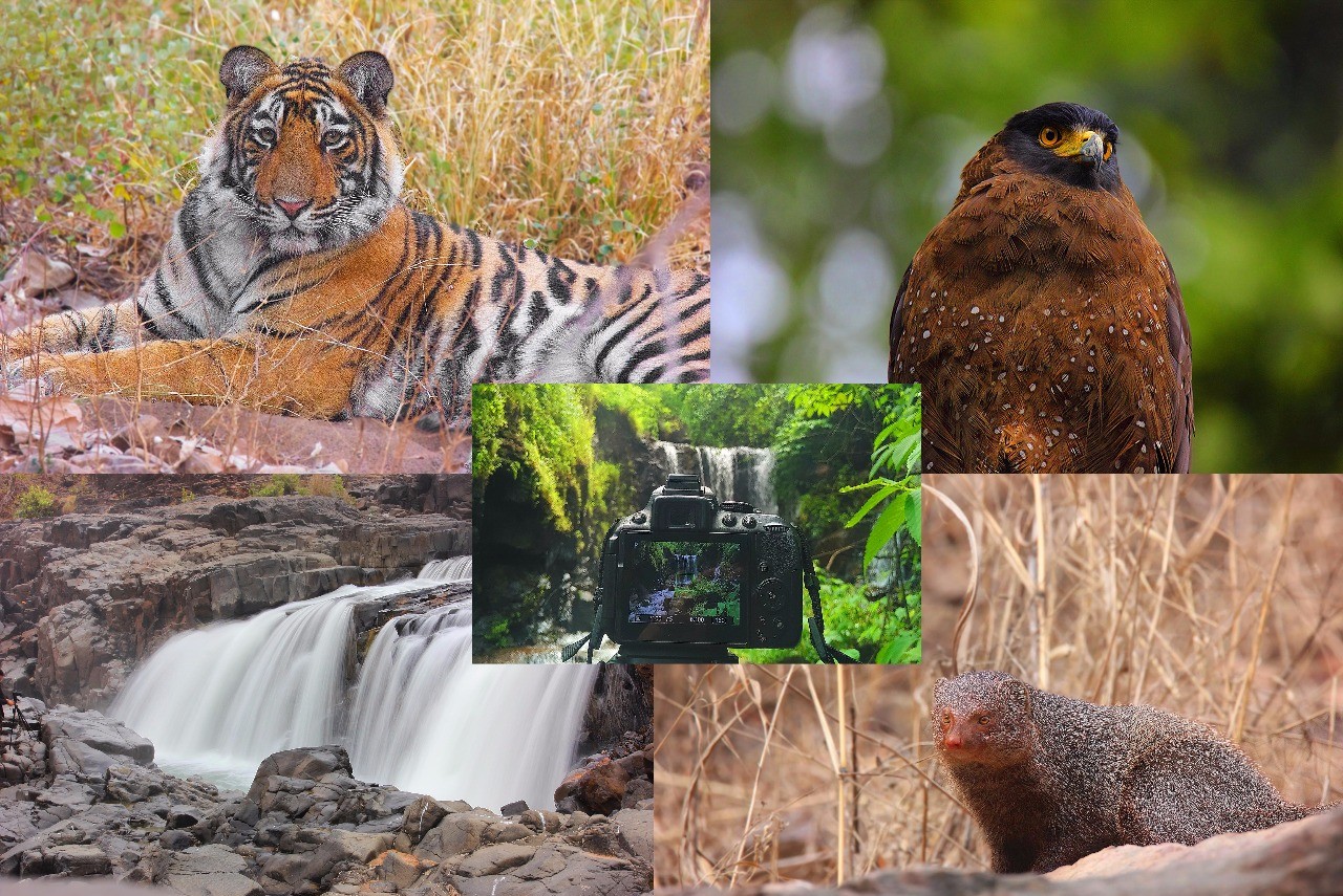 Green grass Green grass