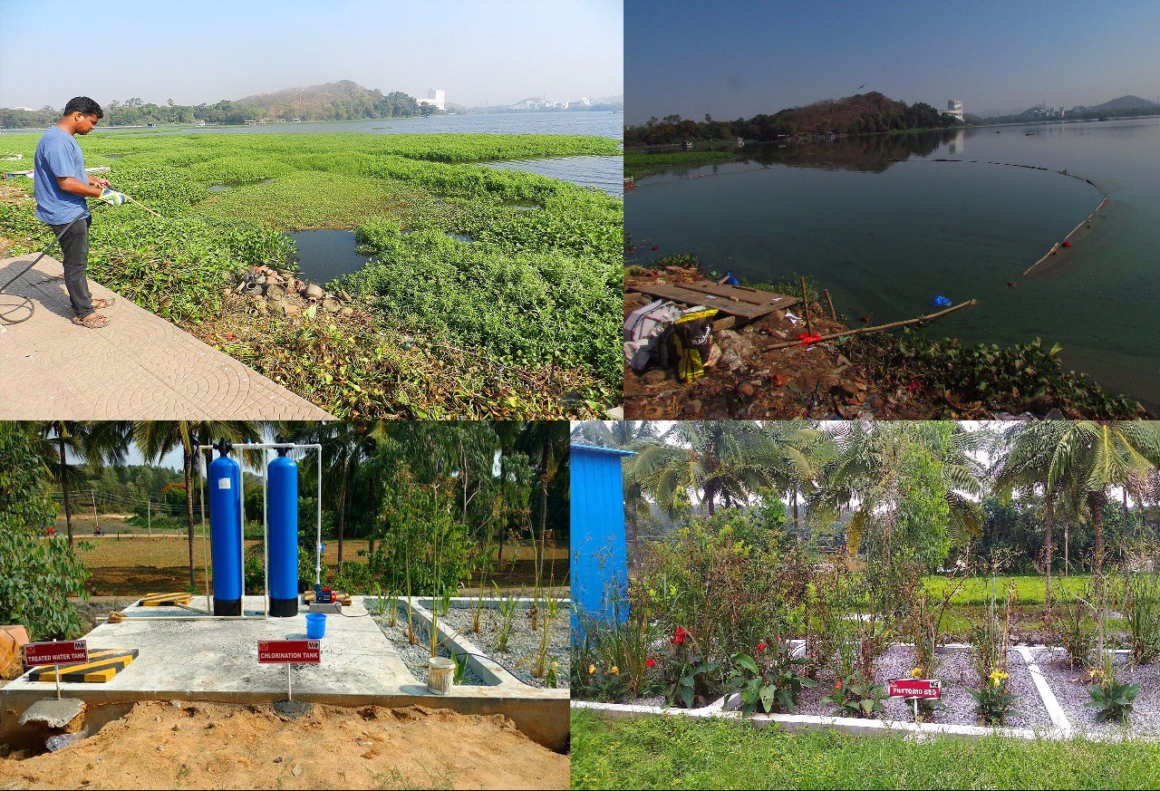 Green grass Green grass