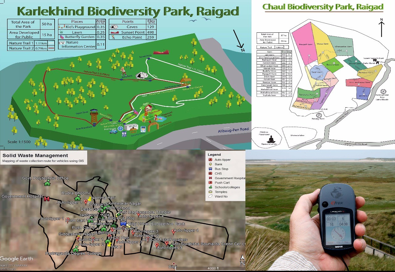 Green grass Green grass