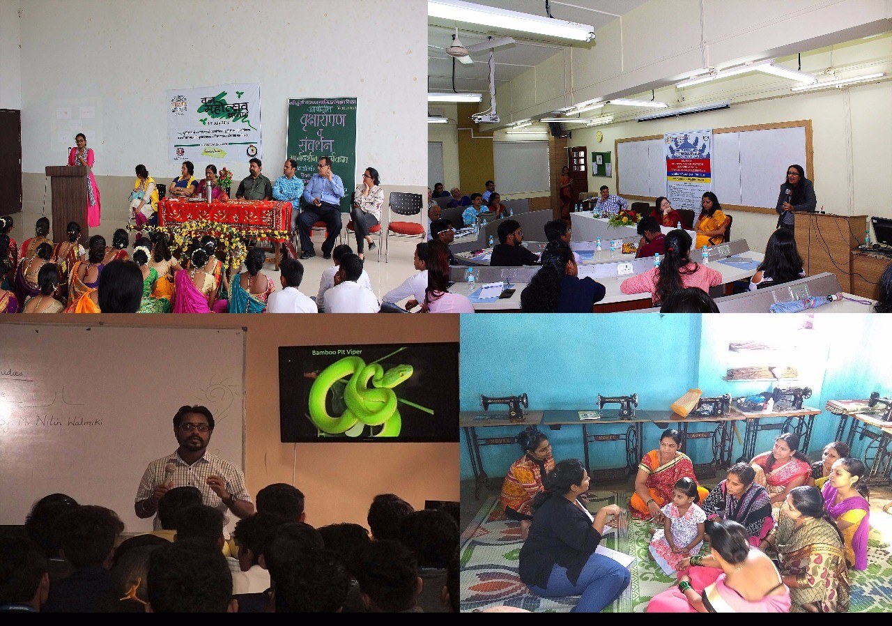 Green grass Green grass